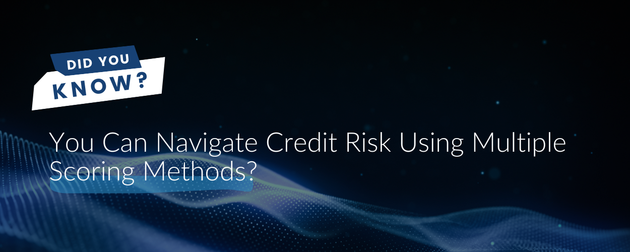 Did You Know You Can Navigate Credit Risk Using Multiple Scoring Methods?