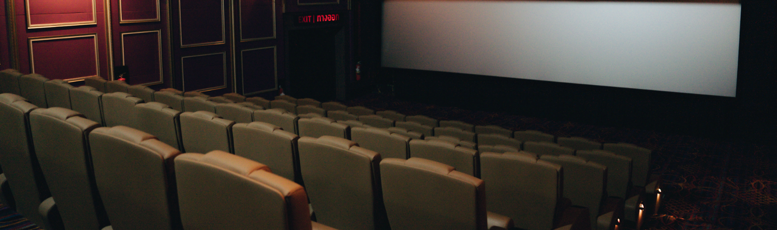 AMC Entertainment 1L 5NC2