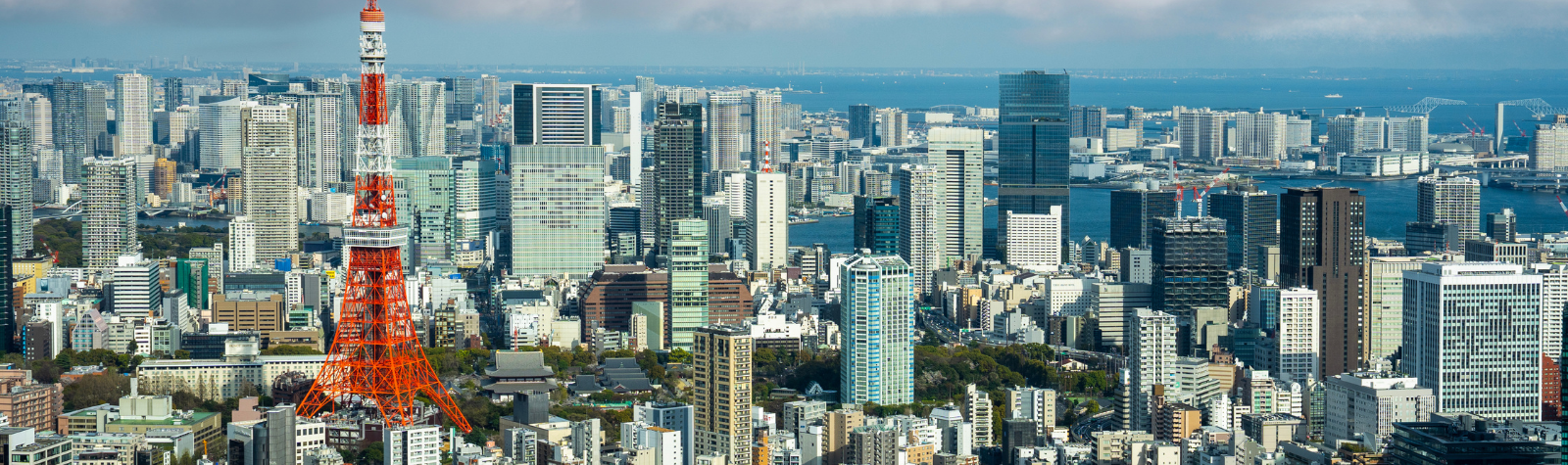 Asia Credit Best Ideas